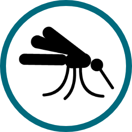 Malaria Icon